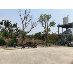 高雄燕巢3.89分漂亮景觀農地