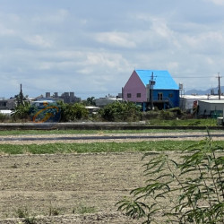 高雄橋頭高苑近高大超漂亮農地