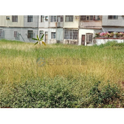 高雄路竹體育公園大地坪建地