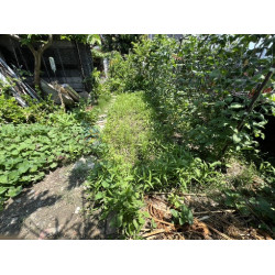 高雄岡山小而美景光方正建地