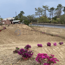 臺南左鎮1.26甲三面臨路農+建地