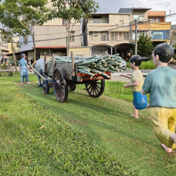 臺南左鎮1.26甲三面臨路農+建地