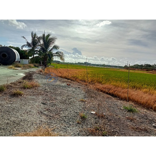 高雄路竹新生路近交流道方正農地