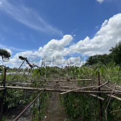 高雄岡山阿公店水庫農地遊憩用地