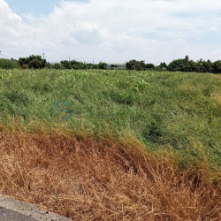 高雄路竹延平漂亮美農地