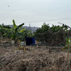 高雄阿蓮大地坪有電有地下水好運用農地