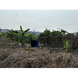 高雄阿蓮大地坪有電有地下水好運用農地