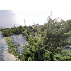 高雄阿蓮智慧農創園區雙面臨路大面寬超值農地
