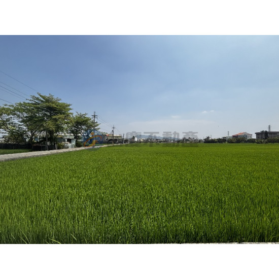 高雄岡山近嘉興鬧區大面寬美農地