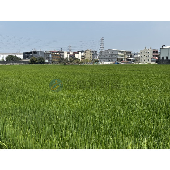 高雄岡山近嘉興鬧區大面寬美農地