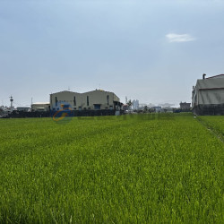 高雄岡山近嘉興鬧區大面寬美農地