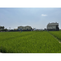 高雄岡山近嘉興鬧區大面寬美農地
