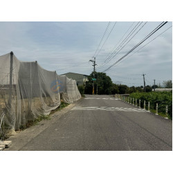 高雄阿蓮便宜休閒農保農地