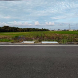 高雄橋頭高苑綠軸學苑智造願景農園農地