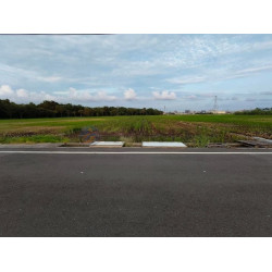 高雄橋頭高苑綠軸學苑智造願景農園農地