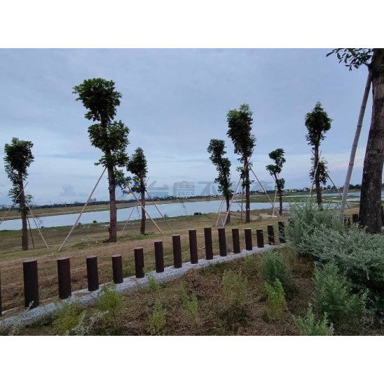 高雄橋頭高苑綠軸學苑智造願景農園農地