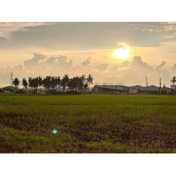 高雄橋頭高苑綠軸學苑智造願景農園農地