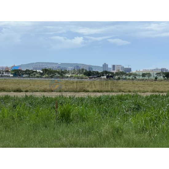 高雄橋頭高苑綠軸學苑智造願景農園農地