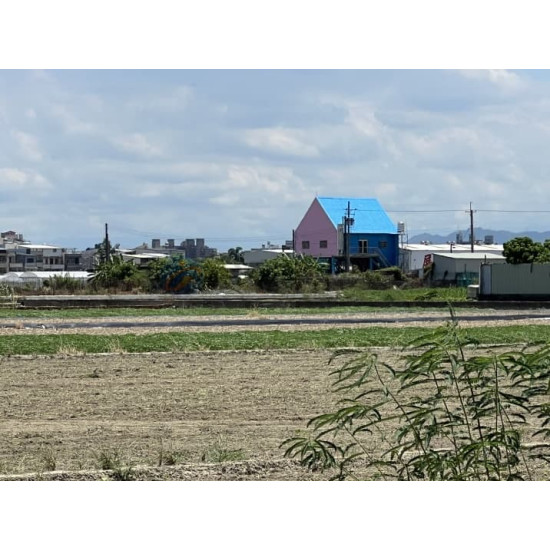 高雄橋頭高苑綠軸學苑智造願景農園農地